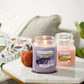 Yankee Candle - Enchantement Floral 538g | Édition limitée